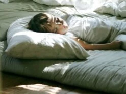 Shiki Futon Mattress - Organic Latex & Wool - Organic Cotton Casing - 3 Inch -WALKER EDISON Shop HS SHIKIFUTON L 4