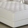 Veraflex Aloe Vera Mattress -WALKER EDISON Shop IS 61VER15220