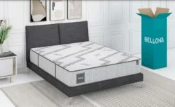 Evolve Antiaging Queen Mattress