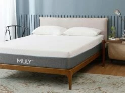 Fusion Luxe 12.5" Memory Foam Mattress -WALKER EDISON Shop ML FUSION LUXE 1
