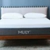 Fusion Luxe 12.5" Memory Foam Mattress -WALKER EDISON Shop ML FUSION LUXE