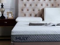 The WellFlex 2.0 12" Memory Foam Mattress -WALKER EDISON Shop ML WELLFLEX 2 2