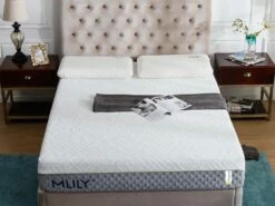 The WellFlex 2.0 12" Memory Foam Mattress