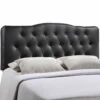 Annabel Queen Upholstered Vinyl Headboard Black