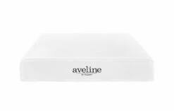 Aveline 10 Inch Queen Mattress White -WALKER EDISON Shop MOD 5338 WHI 3