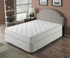 Galaxy 9 Inch Encased Coils Mattress