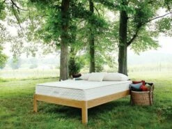 Serenity 10 Inch Organic Dunlop Mattress -WALKER EDISON Shop SERENITY DUN 1