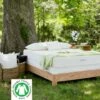 Serenity 10 Inch Organic Dunlop Mattress -WALKER EDISON Shop SERENITY DUN