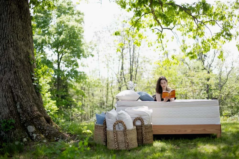 Unity Pillowtop 13 Inch 2 Dunlop & 2 Talalay Mattress 5 Unity Pillowtop 13 Inch 2 Dunlop & 2 Talalay Mattress - Image 3