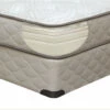 Blossom Plush Latex Mattress -WALKER EDISON Shop Z00610 BL