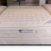 Perfection Rest Fascination Mattress -WALKER EDISON Shop detail 177 IMG 4248